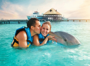 Discover an Unforgettable Experience at Dolphin Discovery Isla Mujeres – American Travel Blogger